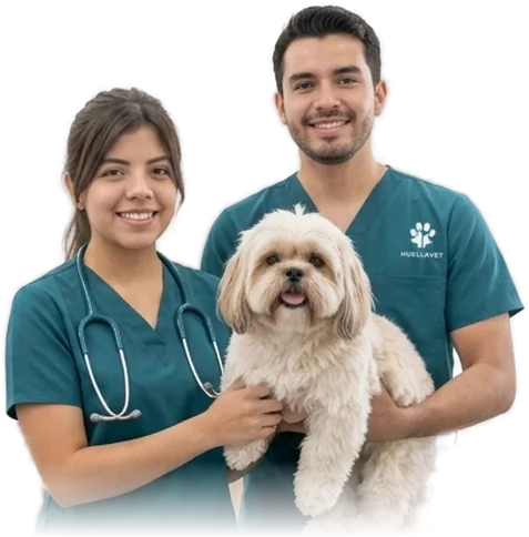 Equipo veterinario de Huellavet con un perro