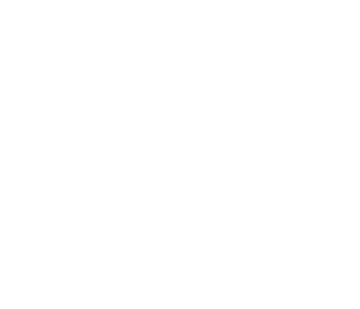 Huellavet